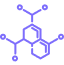 Sample Icon